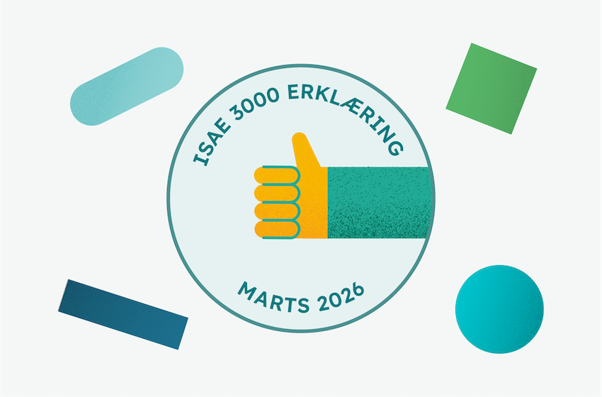 Website visuals_DA_ISAE_3000_forms